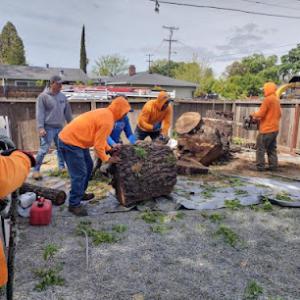 Juan's Landscaping & Tree Service