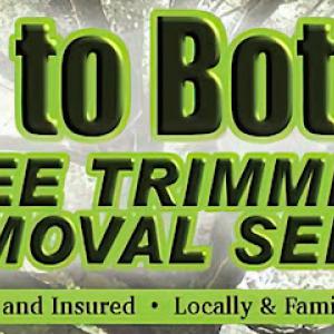 Top to Bottom Tree Trimming & Removal Services