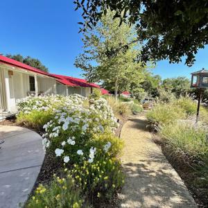 KD Janni Landscaping