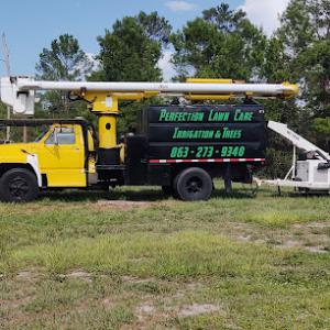 Perfection lawn care & Irrigation