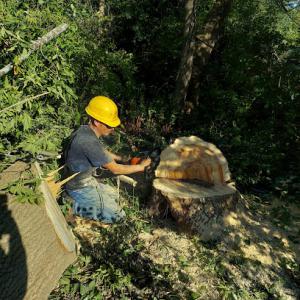 Aguilar Landscaping & Tree Service
