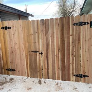 ASAP Tree & Fencing