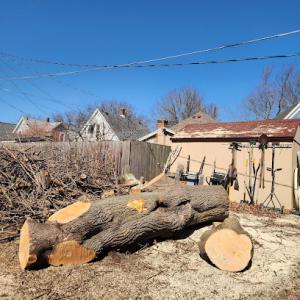 Lopez Tree Removal