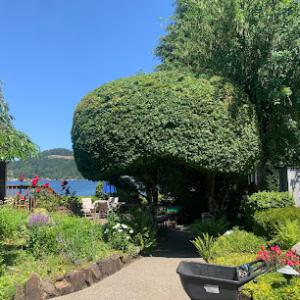 Tony's Landscape Maintenance