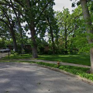 A Wilson Tree Service