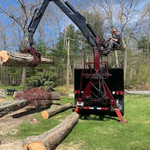 Top Notch Tree Services
