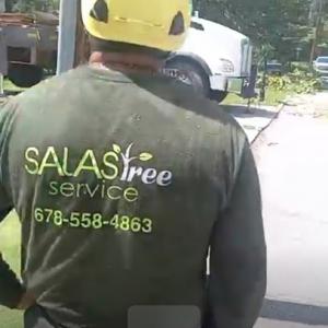 Salas Tree Service