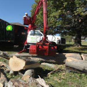 Kailys Tree Services