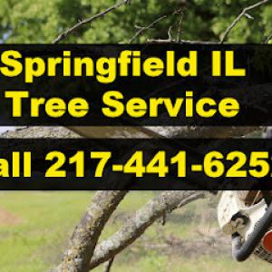 Springfield IL Tree Service