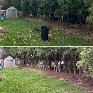 Top Down Tree Service