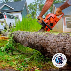 TimberWorx Tree Service