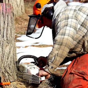 ArborCare | Horticultural Services