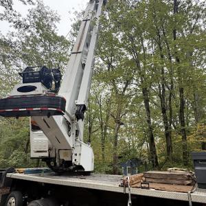 JF Property Services LLC Tree Removal