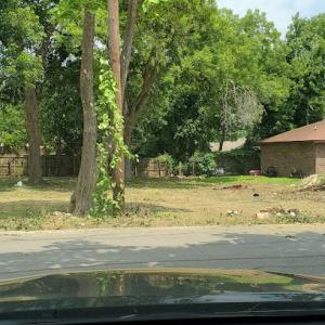 Fernando’s tree service