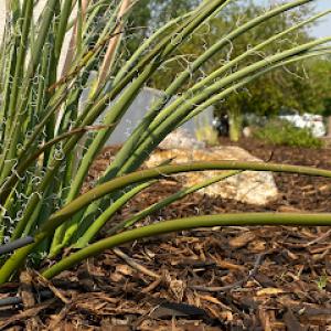 Dawn Till Dusk Landscaping