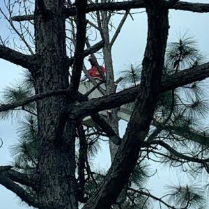 Harris Lawn & Ground Maintenance