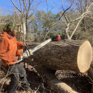 My Tree Guy of Franklinton N.C.