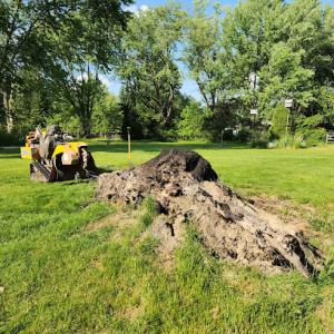 New View Stump Grinding