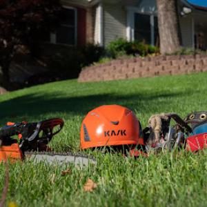 Craig's Tree Service