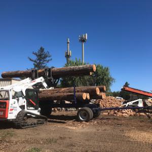 Summit Tree Care Services