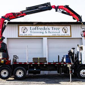 Loffredo's Tree Trimming & Removal