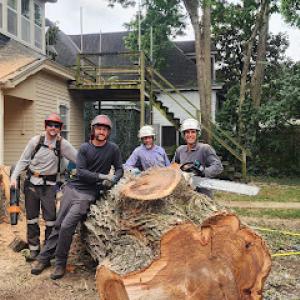 Sure Notch Tree Service