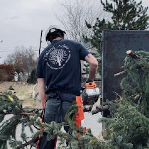Inland Arbor Tree Service