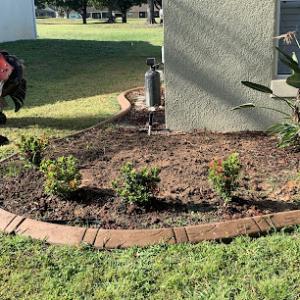 Super Star Stump Grinding Services