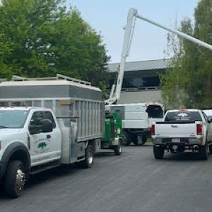 La Sirenita Tree Service