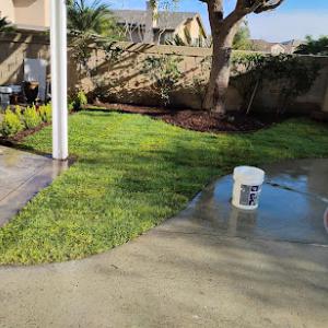 Desing landscaping inc cervice