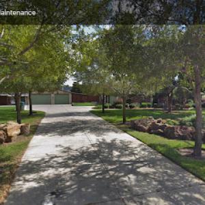 Golden Tree Maintenance