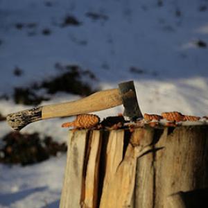 Southlake Tree Service & Stump Grinding