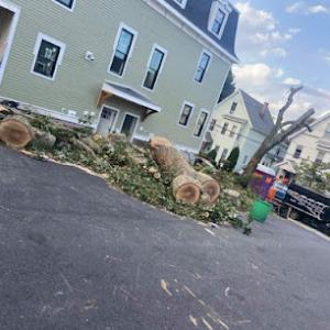 Boston Landscaping & Lawn Specialist