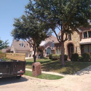Affordable Tree Service