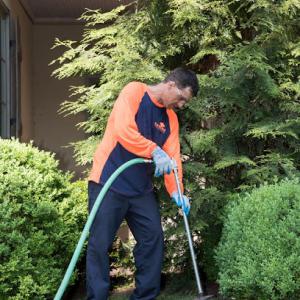 SavATree - Tree Service & Lawn Care