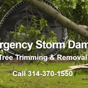 Clipper Tree Service