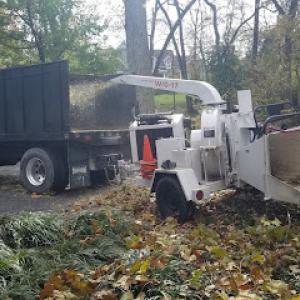 Second Opinion Tree Services