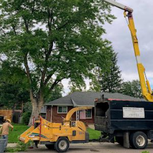 Senn's Tree Service