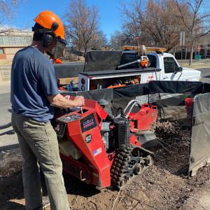 American Stumpbusters