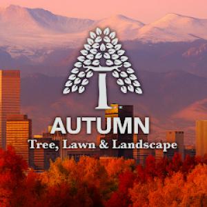 Autumn Tree, Lawn & Landscape