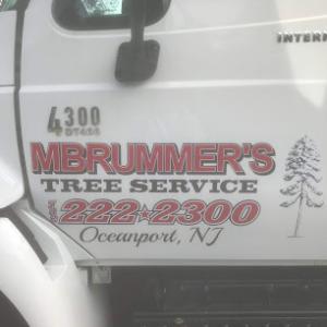 Mark Brummer's Tree Service