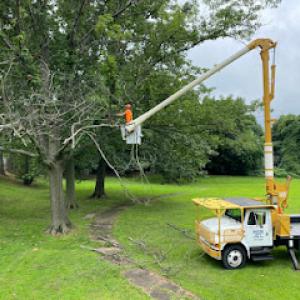 Valley Tree & Landscape Service