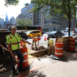 HIGH LINE Consulting Arborist