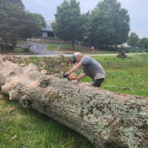 Barnes Landscape Professionals