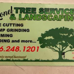 Leonel Tree Service