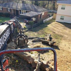 Don’s Tree Service