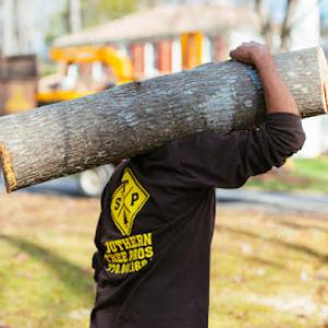 Southern Tree Pros