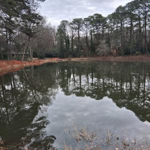 Advance Grading & Tree Service