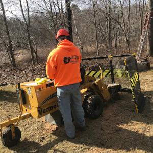Bulldog Stump Grinding
