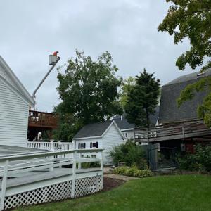 Gonzalez Tree Service
